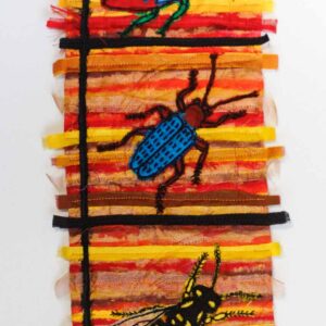 insects