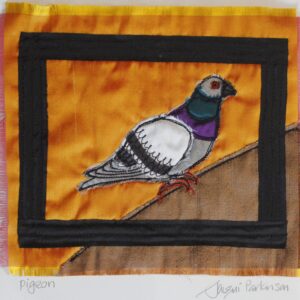 pigeon